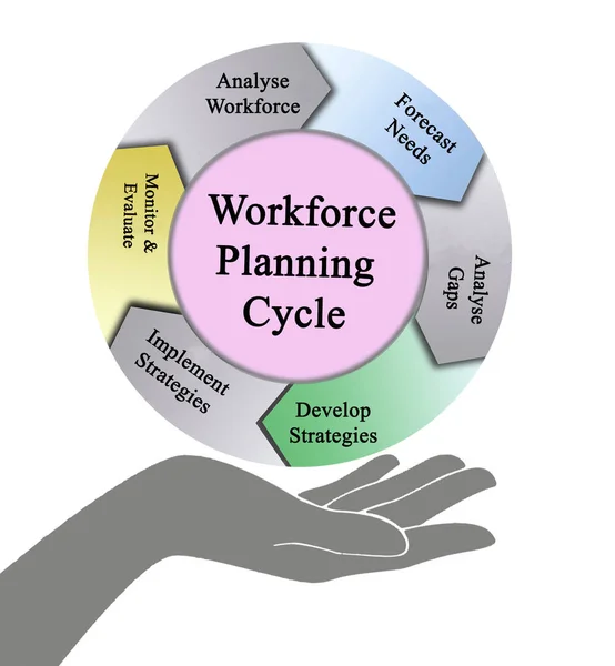 Komponenten des Arbeitskräfteplanungszyklus — Stockfoto